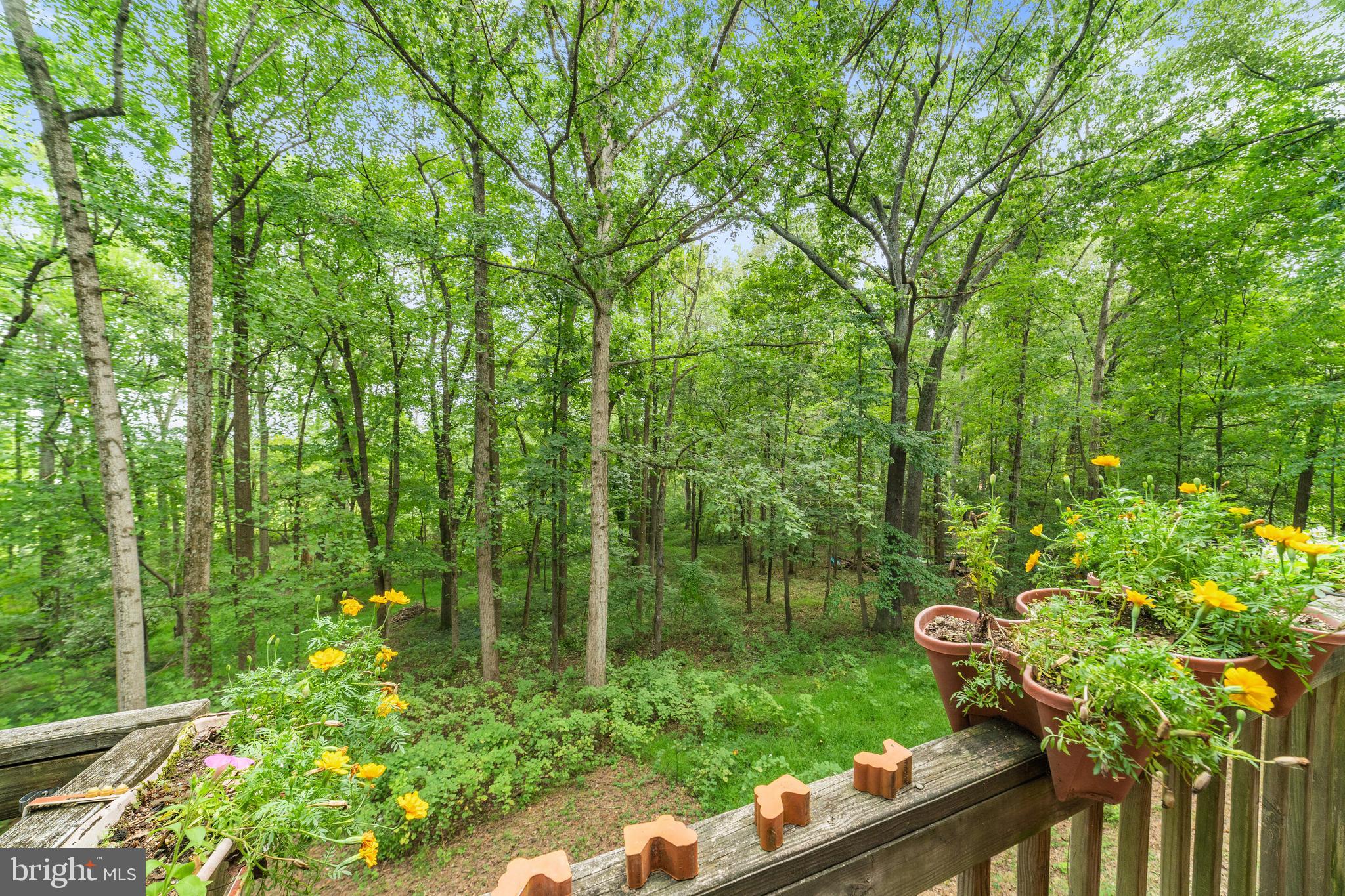 7295 Forrest Road Warrenton, VA 20187 - Photo 16 of 17 Gallery Image 16