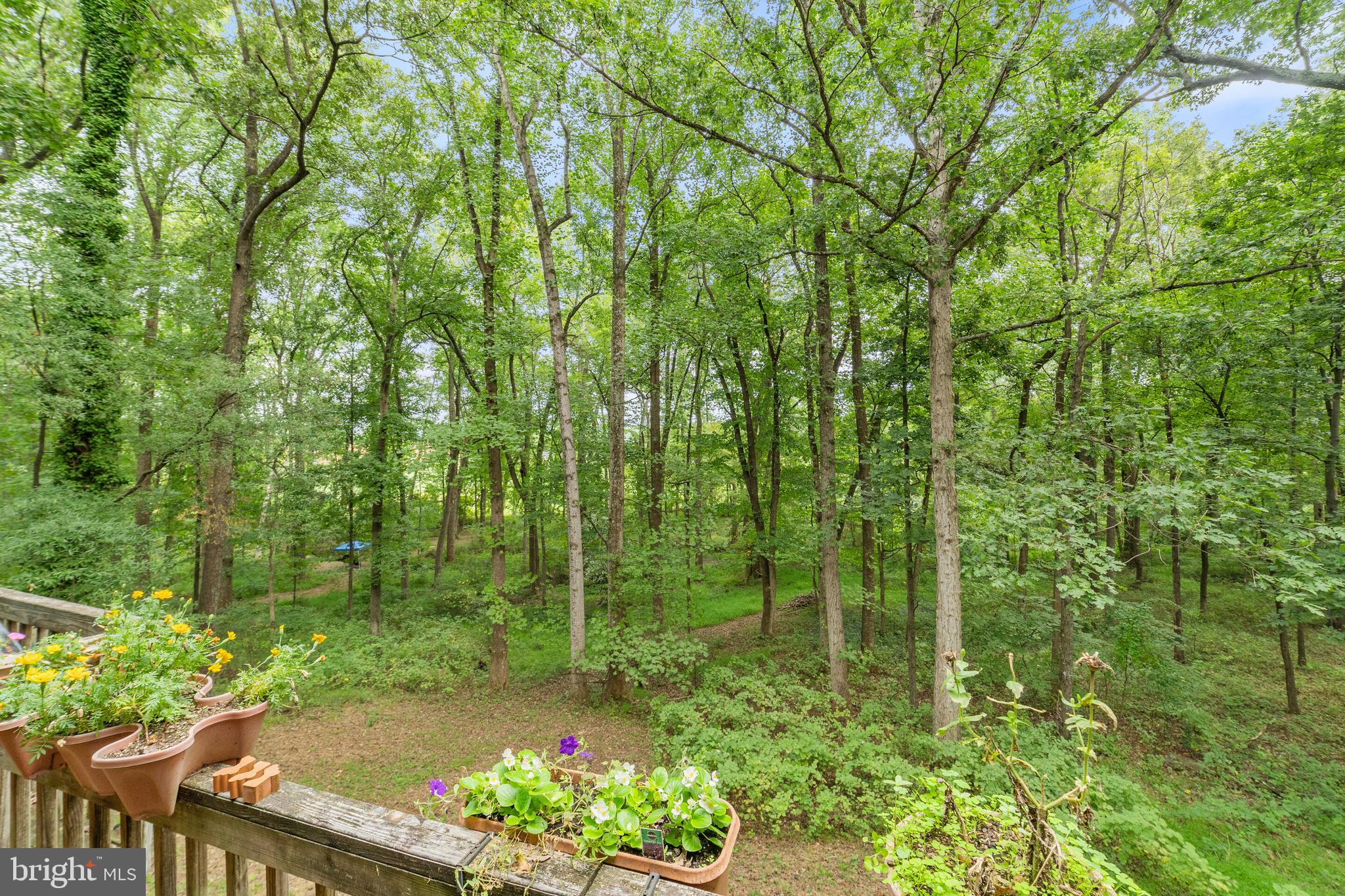 7295 Forrest Road Warrenton, VA 20187 - Photo 17 of 17 Gallery Image 17