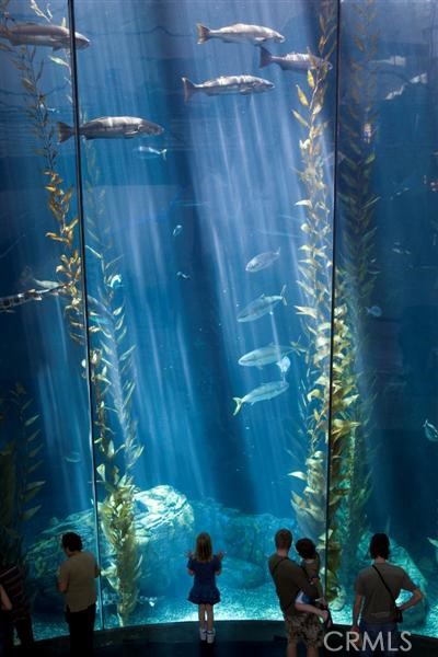 800 East Ocean Boulevard, Unit 1007 Long Beach, CA 90802 - Photo 40 of 43 a view of a house