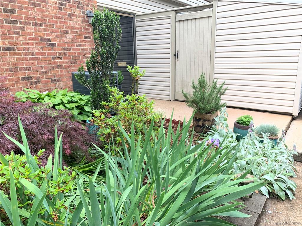 5923 Quail Hollow Road, Unit B Charlotte, NC 28210 - Photo 2 of 15 a plant that is in front of a house