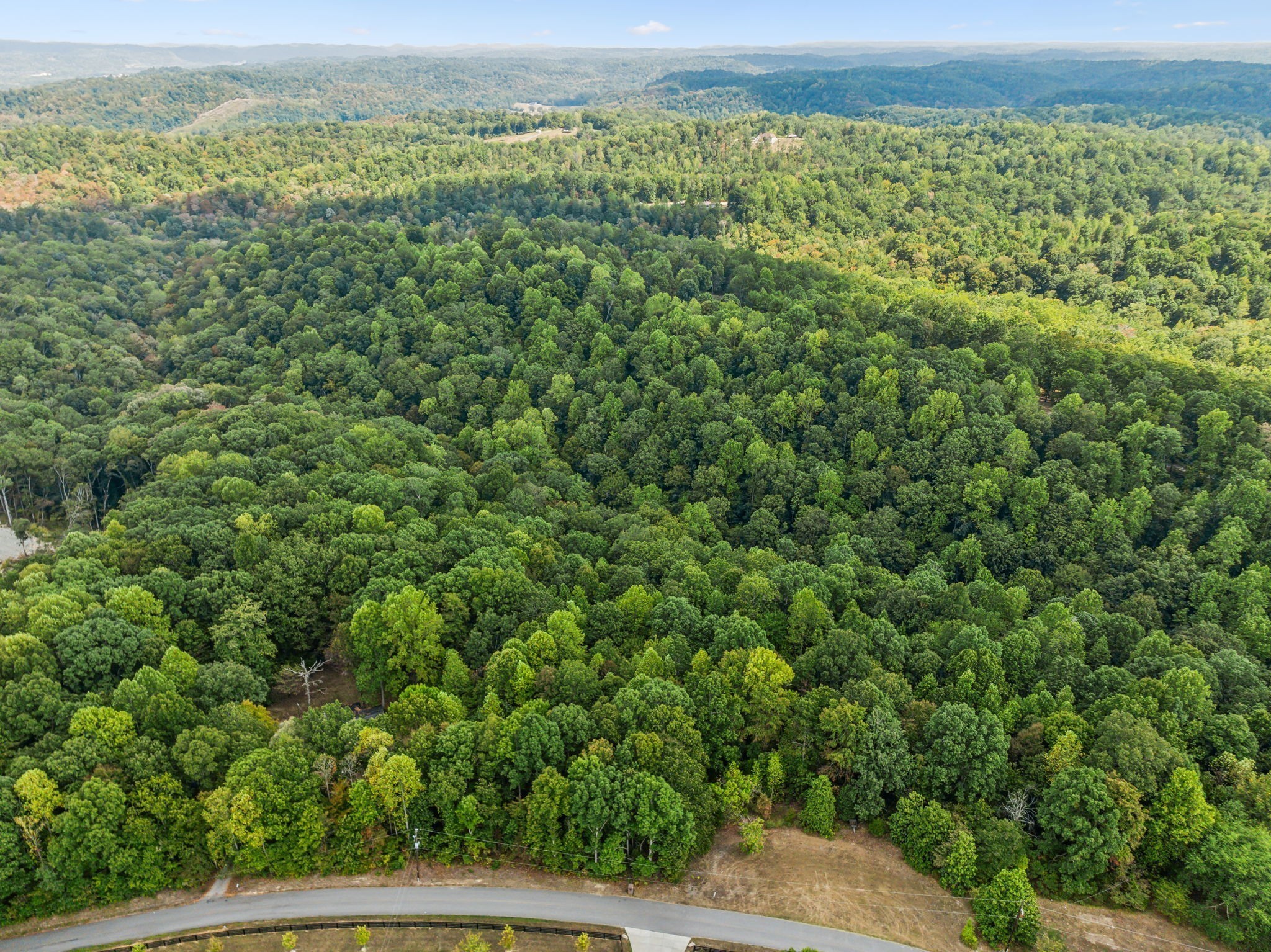 0 Gibbs Road Ashland City, TN 37015 - Photo 8 of 23