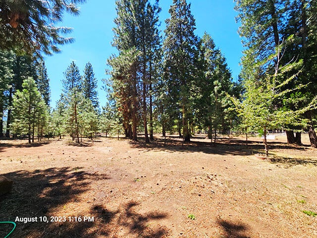 18018 Freight Rd Lane Klamath Falls, OR 97601 - Photo 10 of 33 20230810_131633
