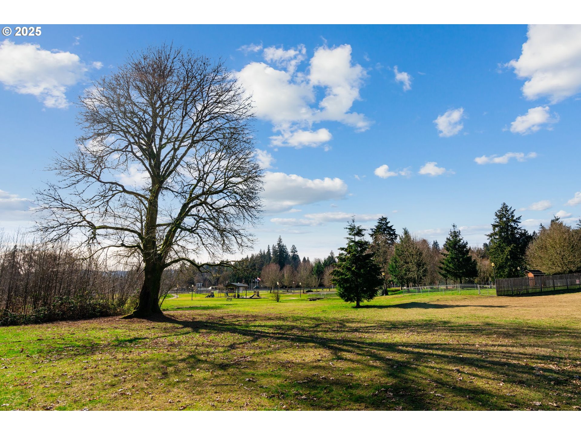 33375 Northwest Ej Smith Road Scappoose, OR 97056 - Photo 33 of 39 Gallery Image 33