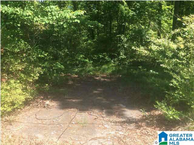 8001 Advent Cutoff Road Trussville, AL 35173 - Photo 5 of 7