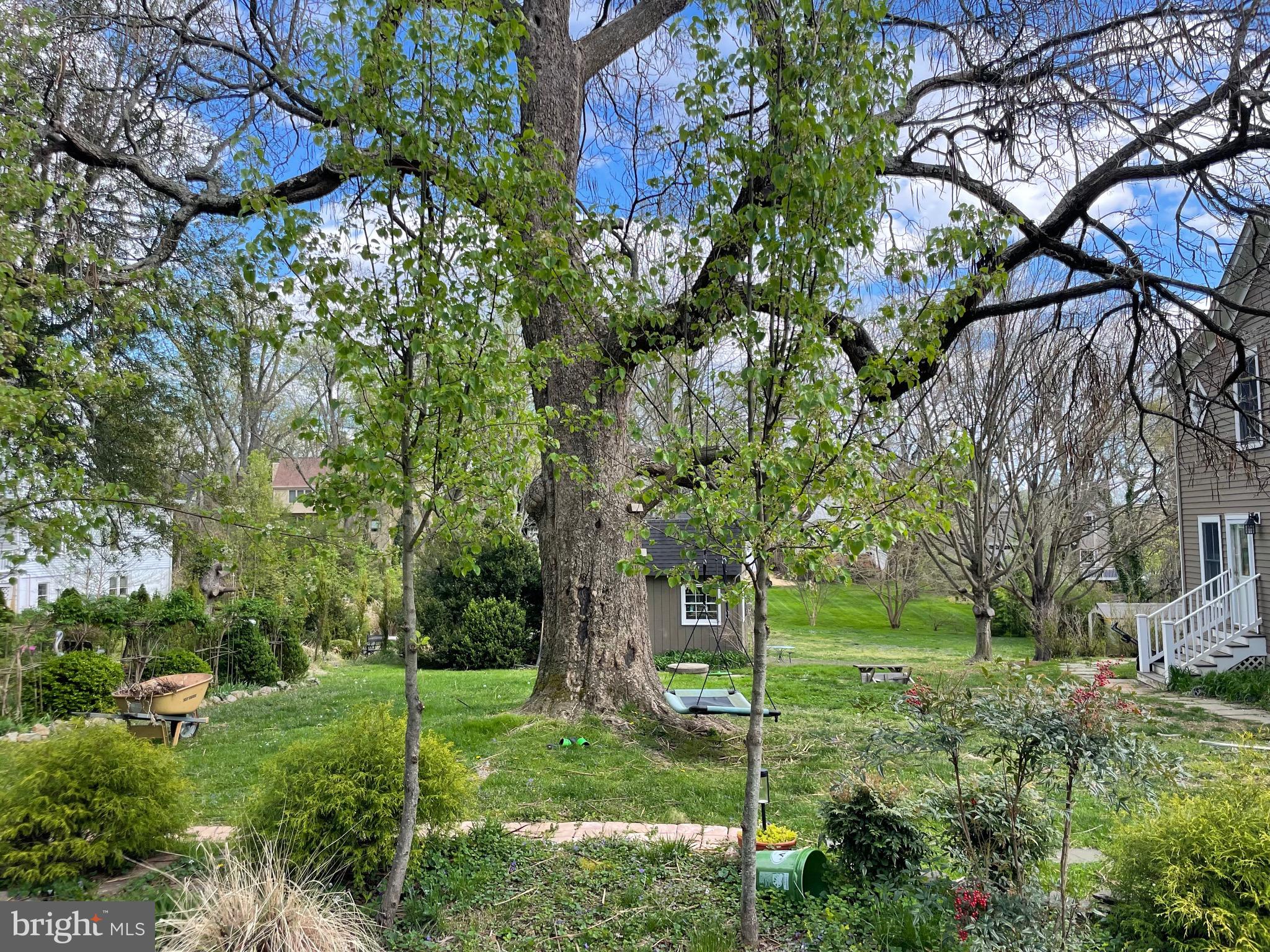 a view of a garden with a tree
