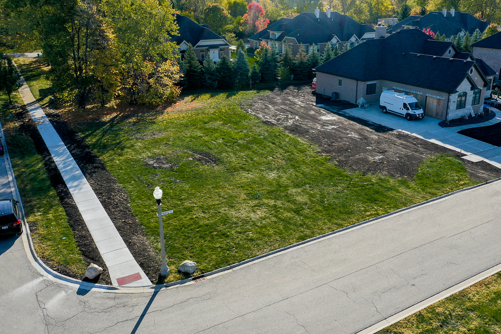 1017 Tadeusz Way Lemont, IL 60439 - Photo 2 of 10 a view of a backyard with plants