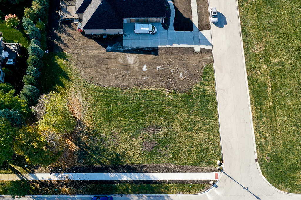 1017 Tadeusz Way Lemont, IL 60439 - Photo 4 of 10 a picture of a tree