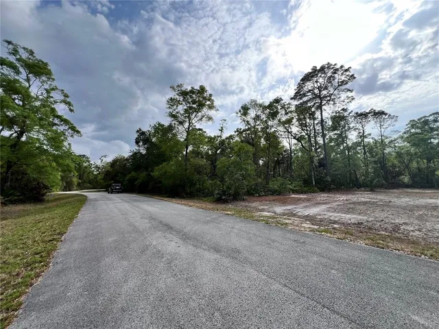 a view of a yard with plants and trees