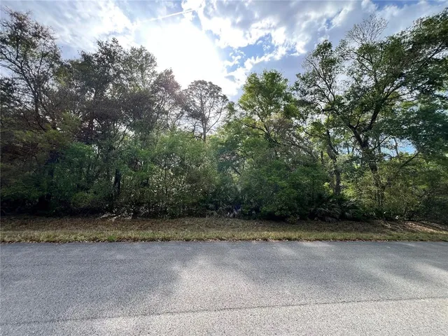 a view of outdoor space with trees