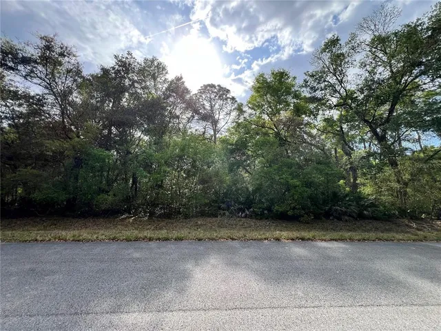 a view of a yard with plants and trees