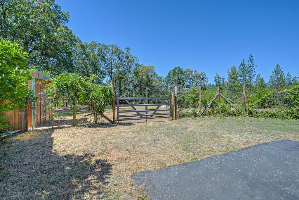 19539 Mountain Lion Road Grass Valley, CA 95945 - Photo 9 of 74