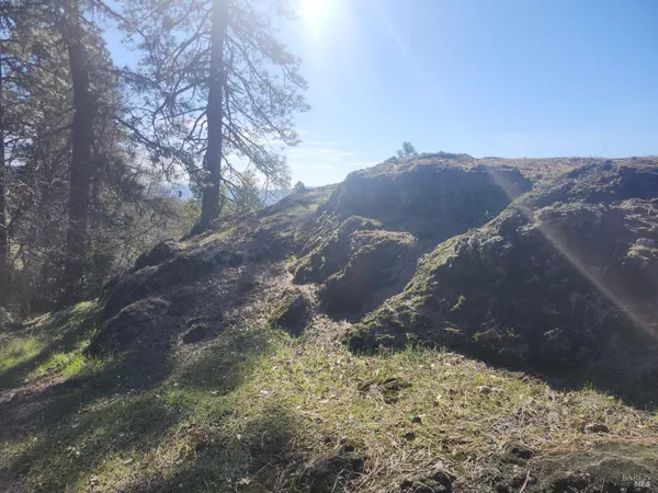 a view of a dry yard