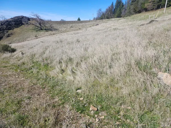 a view of a dry yard