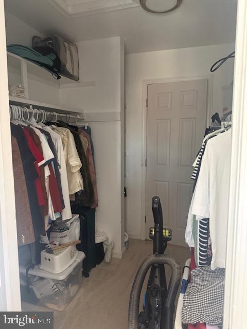 5802 Torington Drive, Unit 825 Springfield, VA 22152 - Photo 10 of 16 walk-in closet