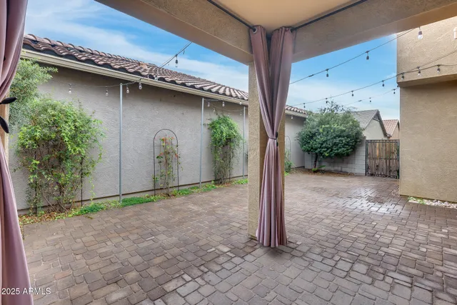a view of a backyard with plants