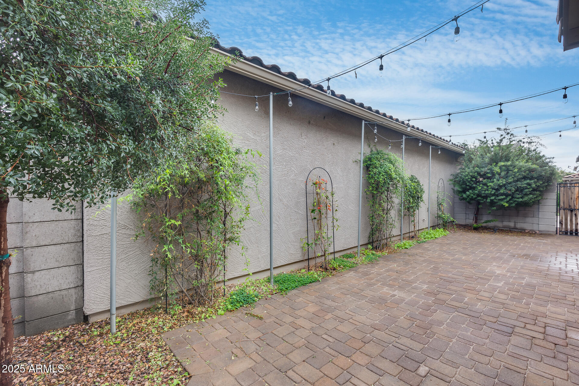 6853 East Posada Circle Mesa, AZ 85212 - Photo 41 of 45 a backyard of a house with potted plants and seating space