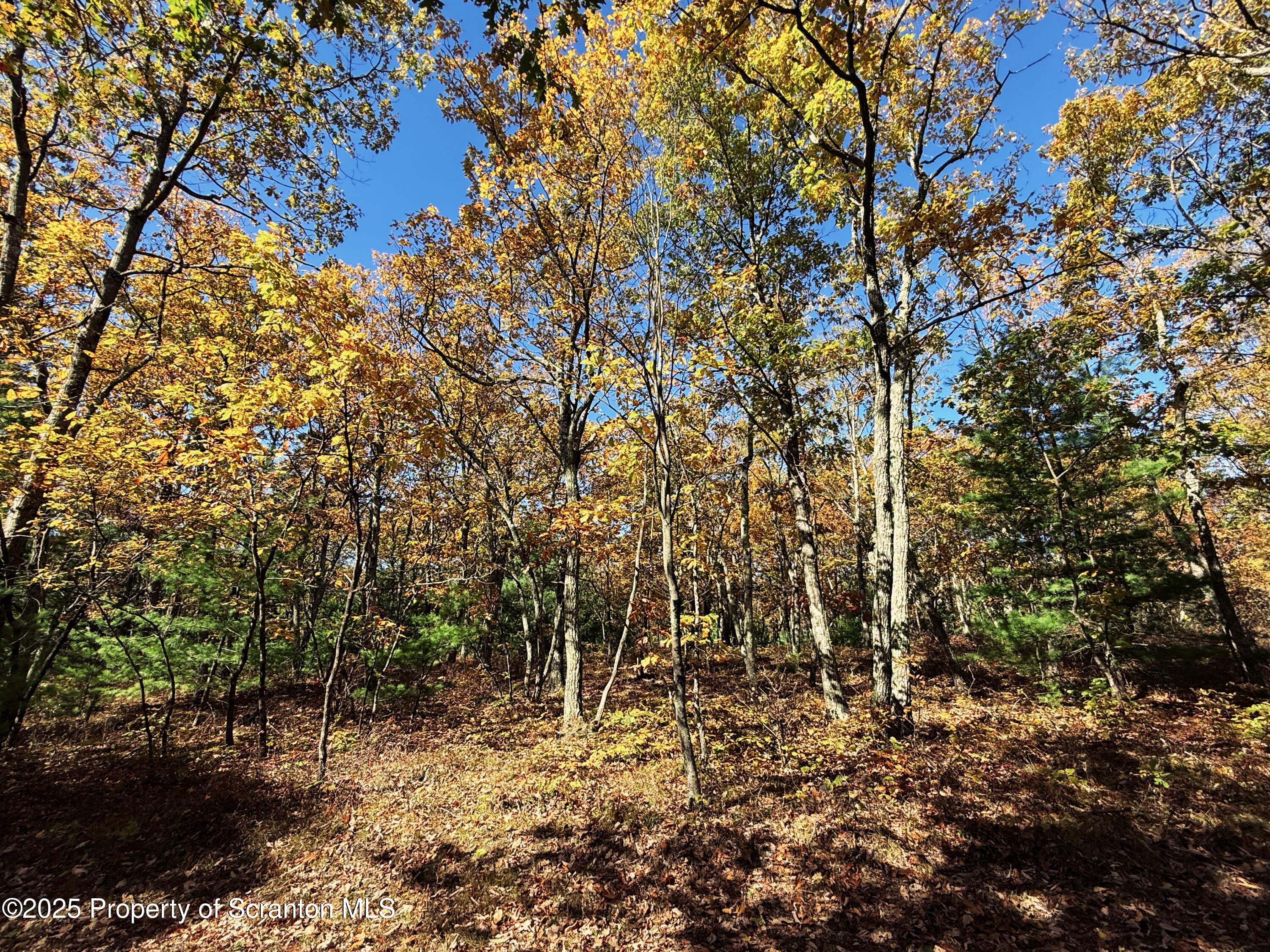 Oak Ridge Drive, Unit 145 Dingmans Ferry, PA 18328 - Photo 2 of 4 a view of a yard