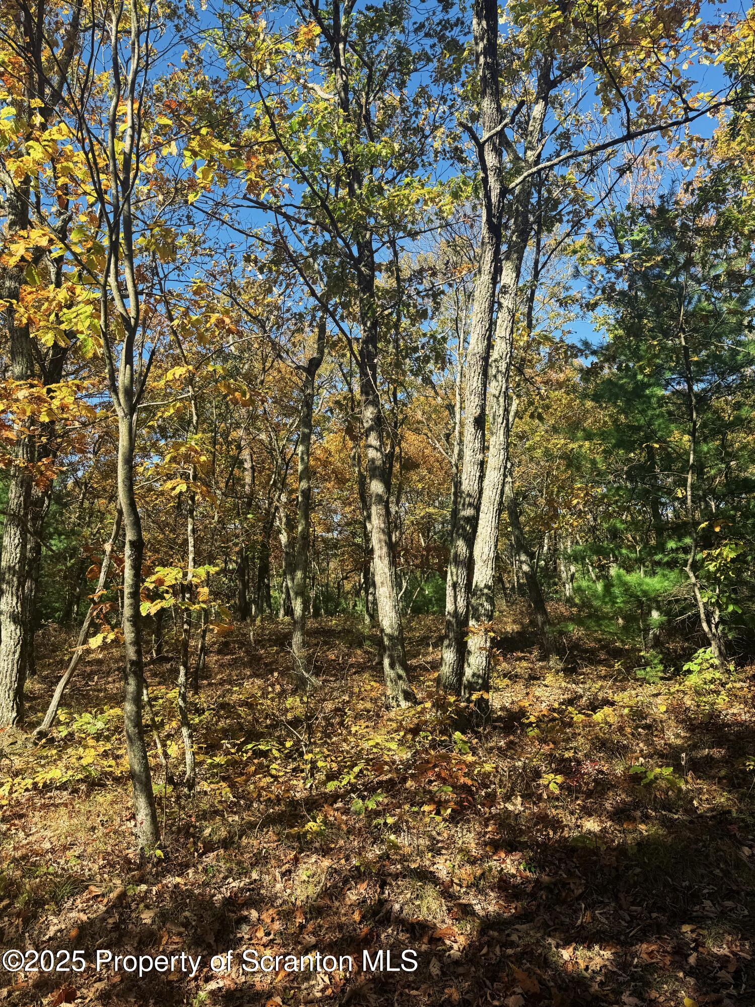 Oak Ridge Drive, Unit 145 Dingmans Ferry, PA 18328 - Photo 3 of 4