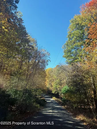 $10,000 | Oak Ridge Drive, Unit 145, Dingmans Ferry, PA 18328