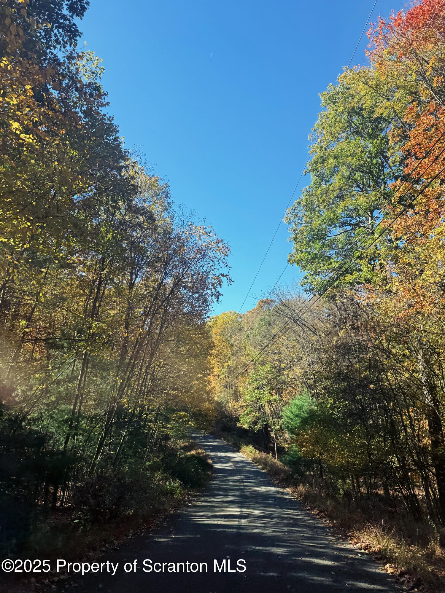 Oak Ridge Drive, Unit 145 Dingmans Ferry, PA 18328 - Photo 4 of 4 a view of outdoor space and yard
