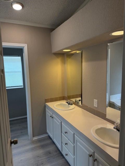 2321 Ridgeview Street Fort Worth, TX 76119 - Photo 8 of 10 Dual vanity with integrated sinks, white cabinetry, and wall-mounted mirrors