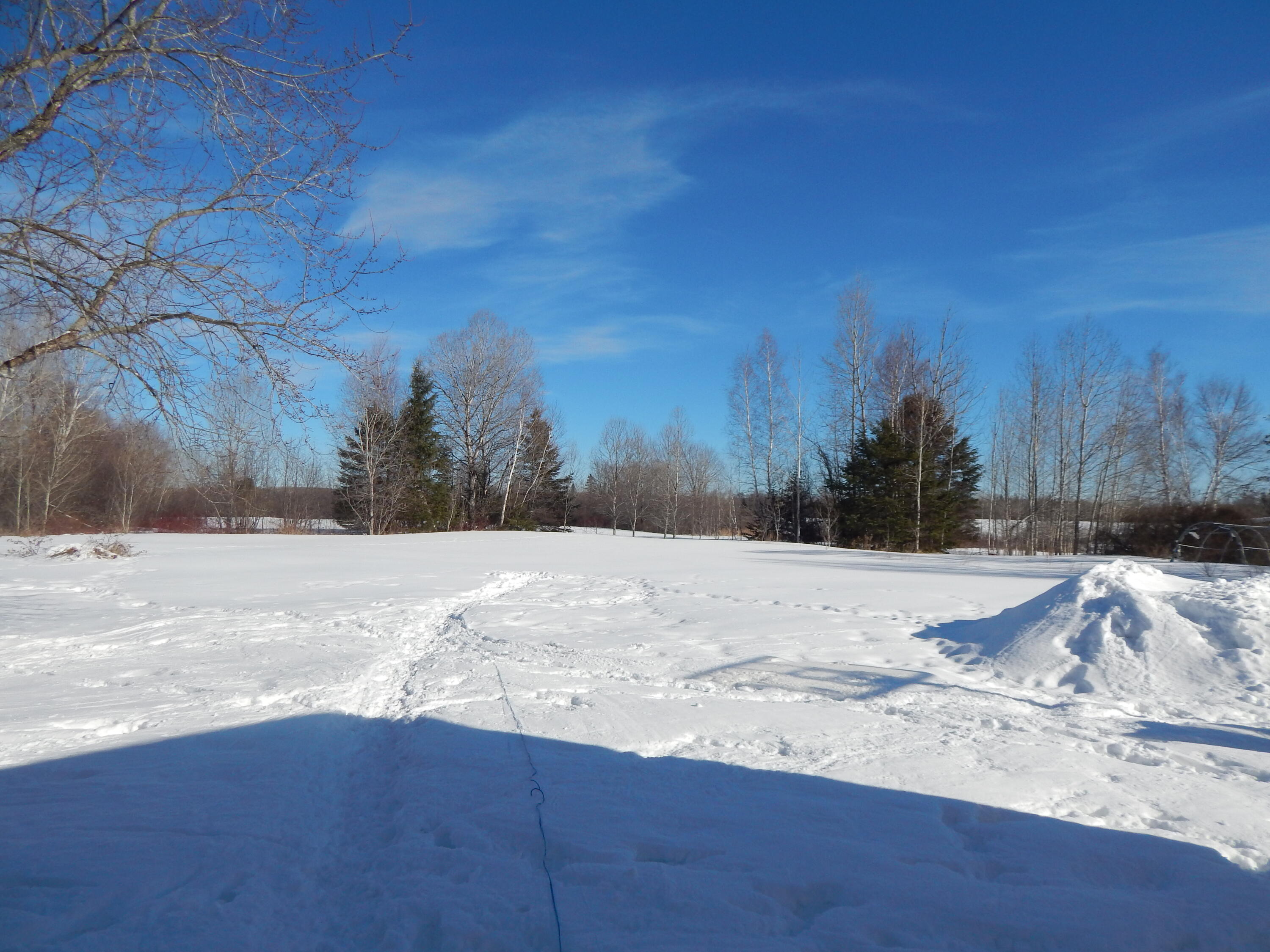 339 Station Road Sherman, ME 04776 - Photo 30 of 34 DSCN1116