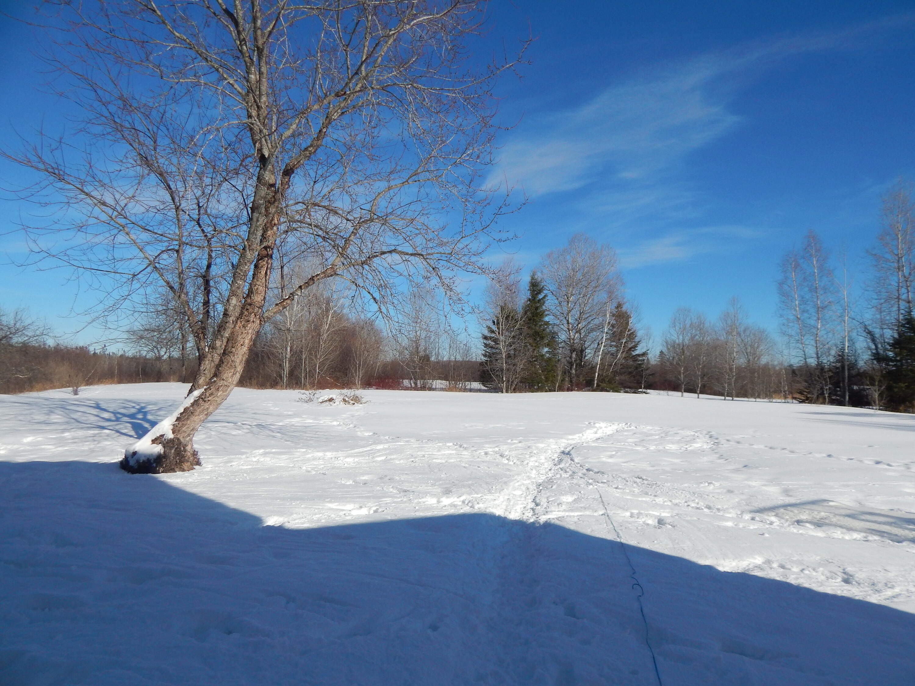 339 Station Road Sherman, ME 04776 - Photo 31 of 34 DSCN1117