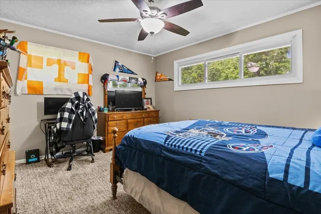 a bedroom with a bed and furniture