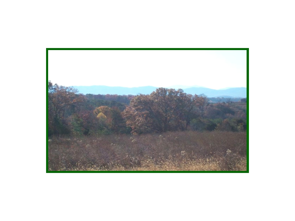 0 Orebank Road Greeneville, TN 37743 - Photo 1 of 1 Photo 1