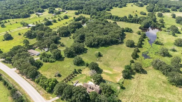 a view of a garden with plants