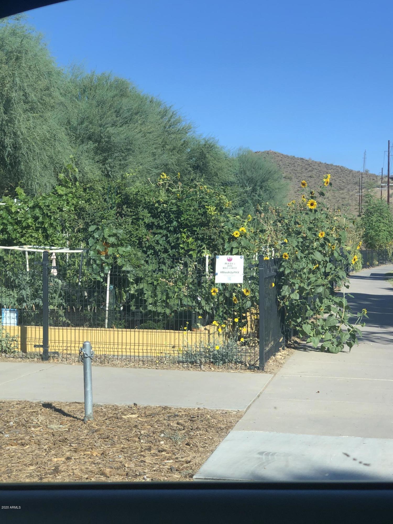 9631 North 12th Avenue, Unit 201 Phoenix, AZ 85021 - Photo 24 of 32 a view of a outdoor space