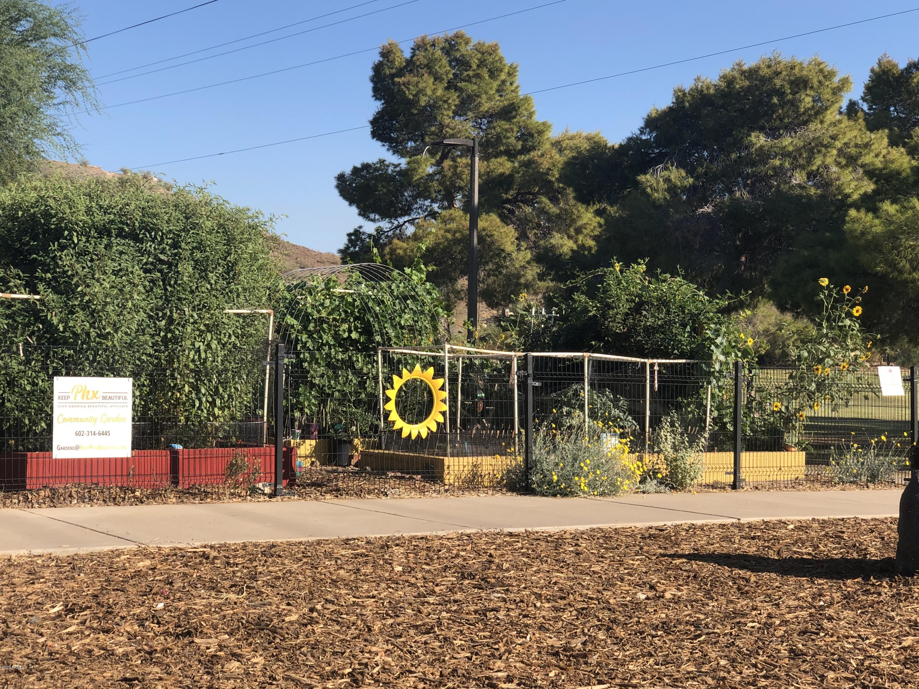 9631 North 12th Avenue, Unit 201 Phoenix, AZ 85021 - Photo 30 of 32 a view of a park with large trees