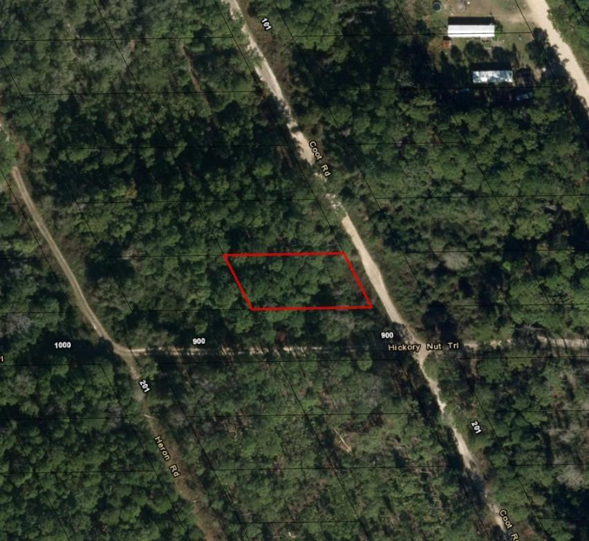 0 Coot Road Satsuma, FL 32189 - Photo 2 of 2 Photo 2
