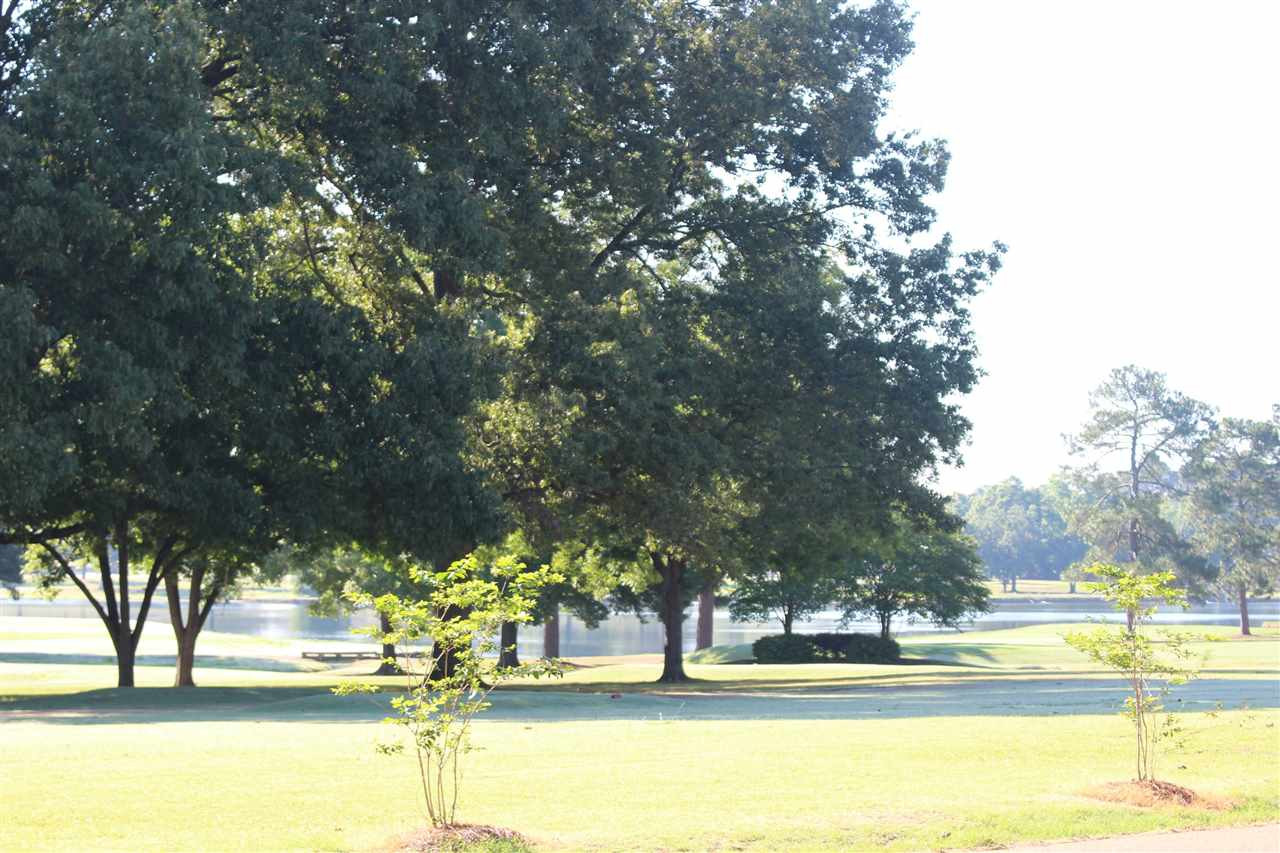 114 Country Club Road Canton, MS 39046 - Photo 3 of 43 Photo 3
