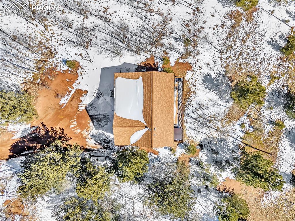 17549 Highway 67 Divide, CO 80814 - Photo 45 of 46 a view of a yard with plants and trees