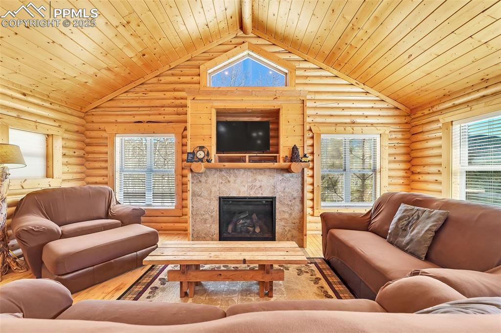 17549 Highway 67 Divide, CO 80814 - Photo 9 of 46 a living room with furniture and a fireplace