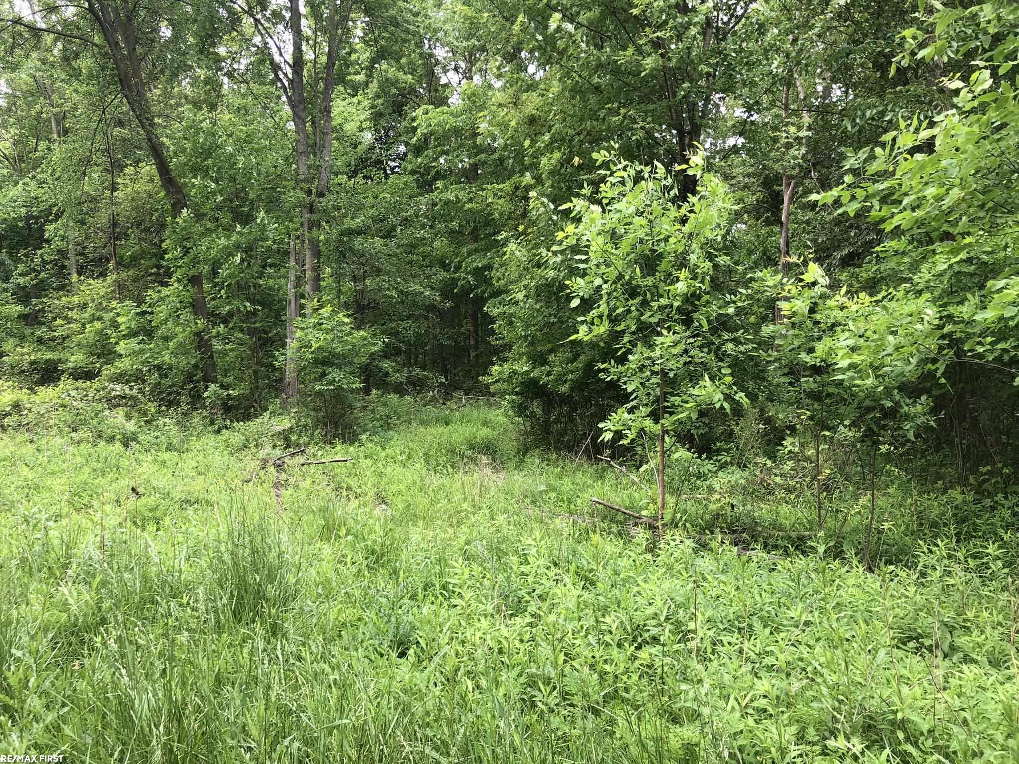 0 29 29 Mile Road New Haven, MI 48050 - Photo 35 of 38