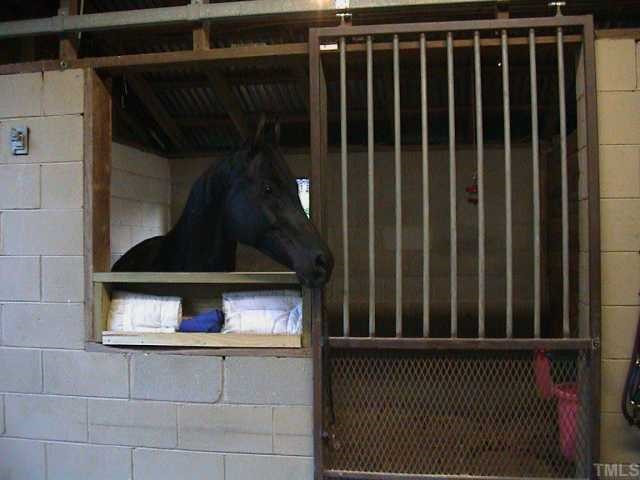 5405 Castlebrook Drive Raleigh, NC 27604 - Photo 11 of 12 View of a stall (and pretty horse).