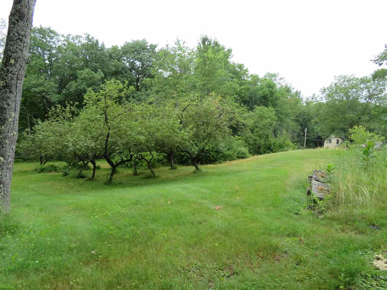 139 West Lake Road Fitzwilliam, NH 03447 - Photo 7 of 28