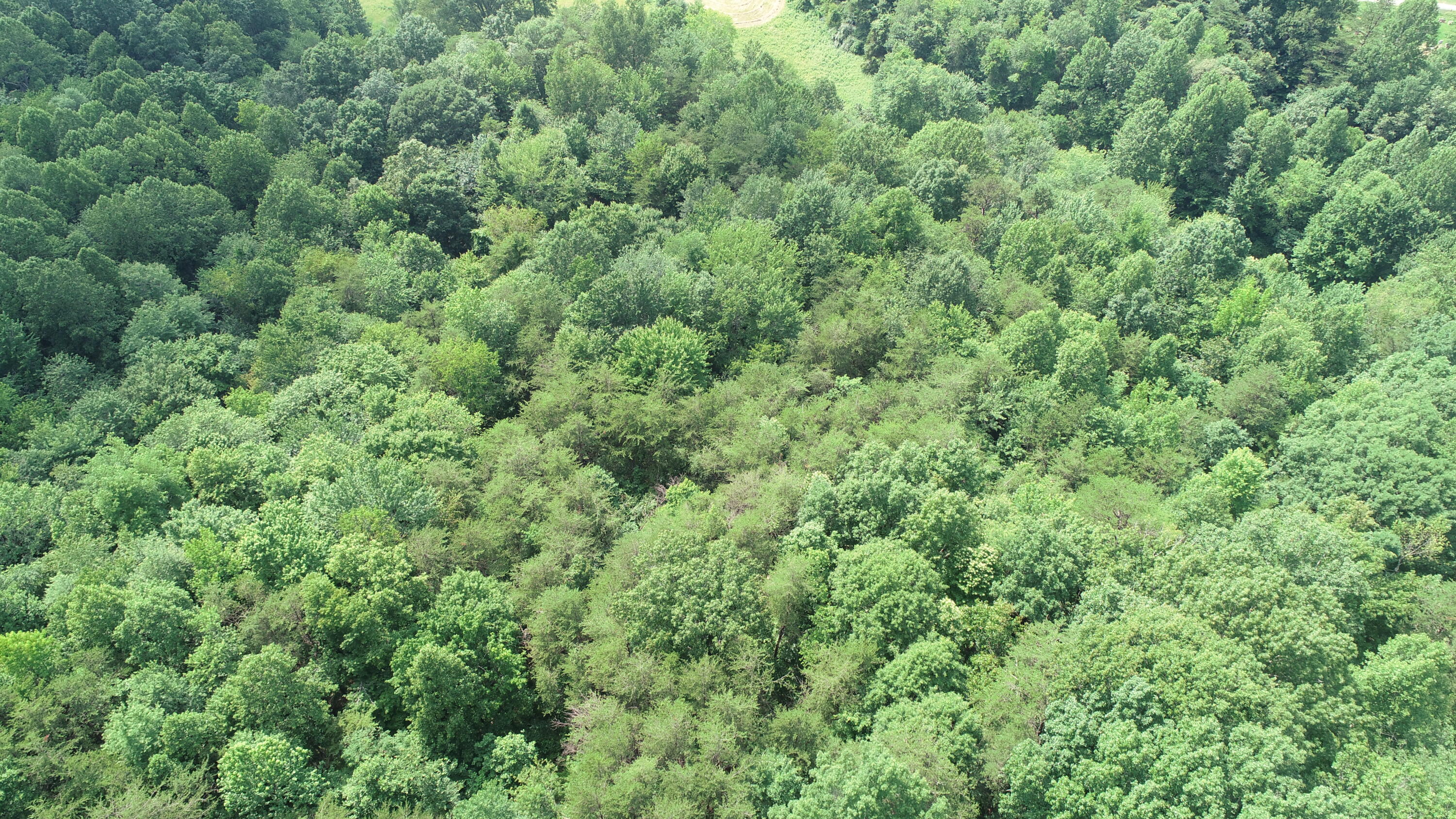111 James Harris Cemetery Road London, KY 40741 - Photo 17 of 22 DJI_0759