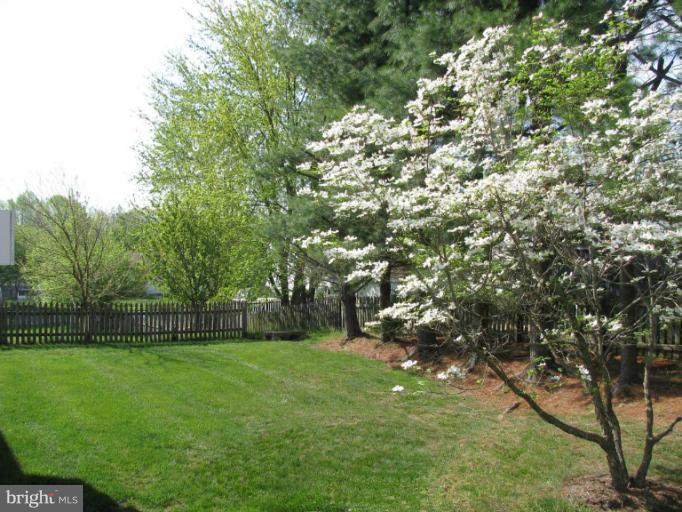 706 Deep Ridge Road Bel Air, MD 21014 - Photo 6 of 25 Exterior (Rear)