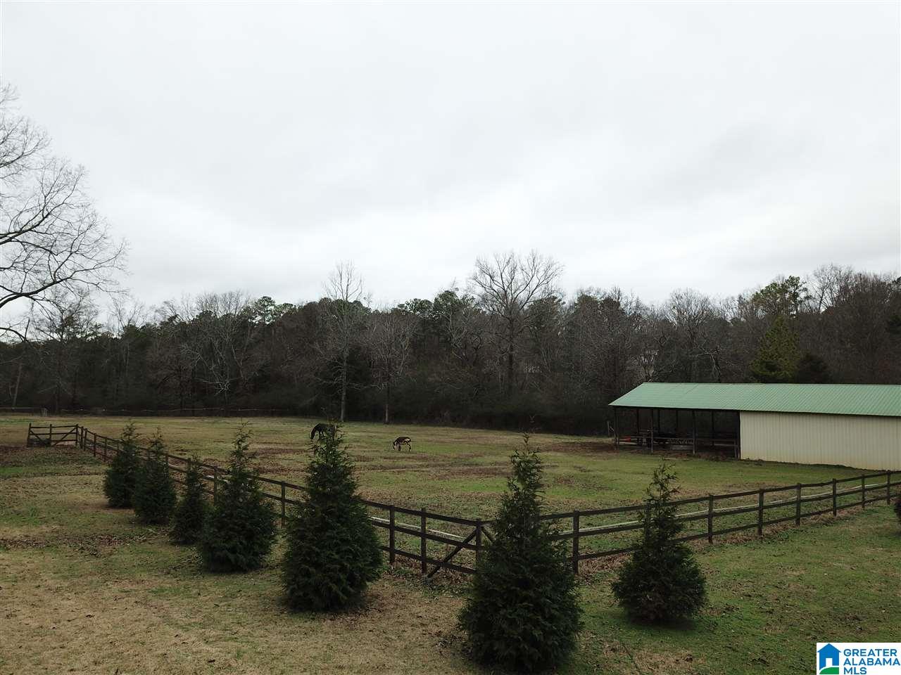 834 Maple Lane Jacksonville, AL 36265 - Photo 43 of 43