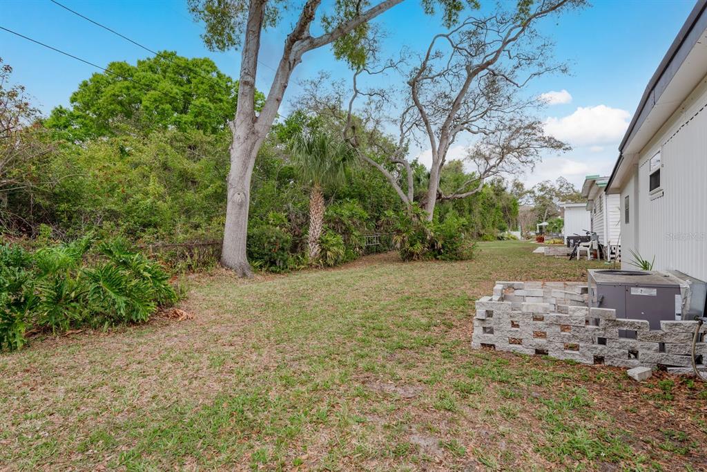 2331 Belleair Road, Unit 514 Clearwater, FL 33764 - Photo 29 of 39 a view of yard with tree