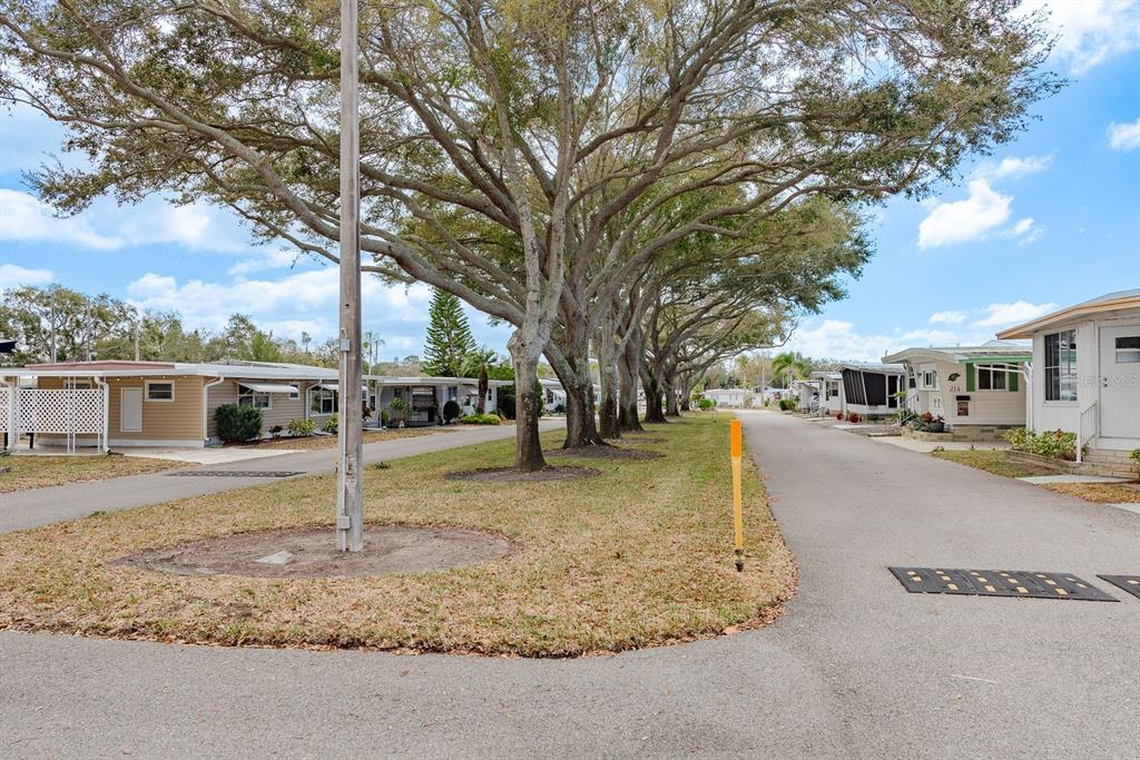 2331 Belleair Road, Unit 514 Clearwater, FL 33764 - Photo 31 of 39 a view of a yard in front of a house