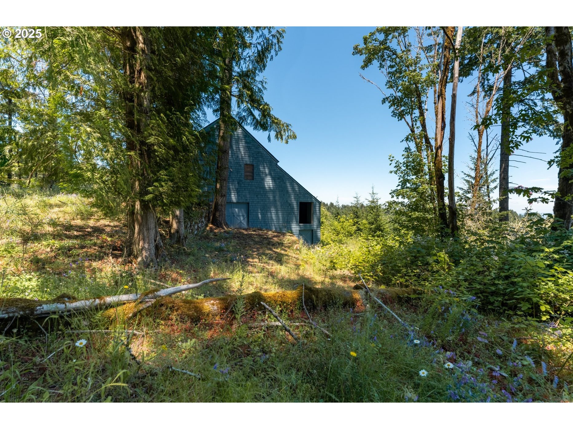 16935 Southwest Holly Hill Road Hillsboro, OR 97123 - Photo 13 of 14 a backyard of a house with lots of green space