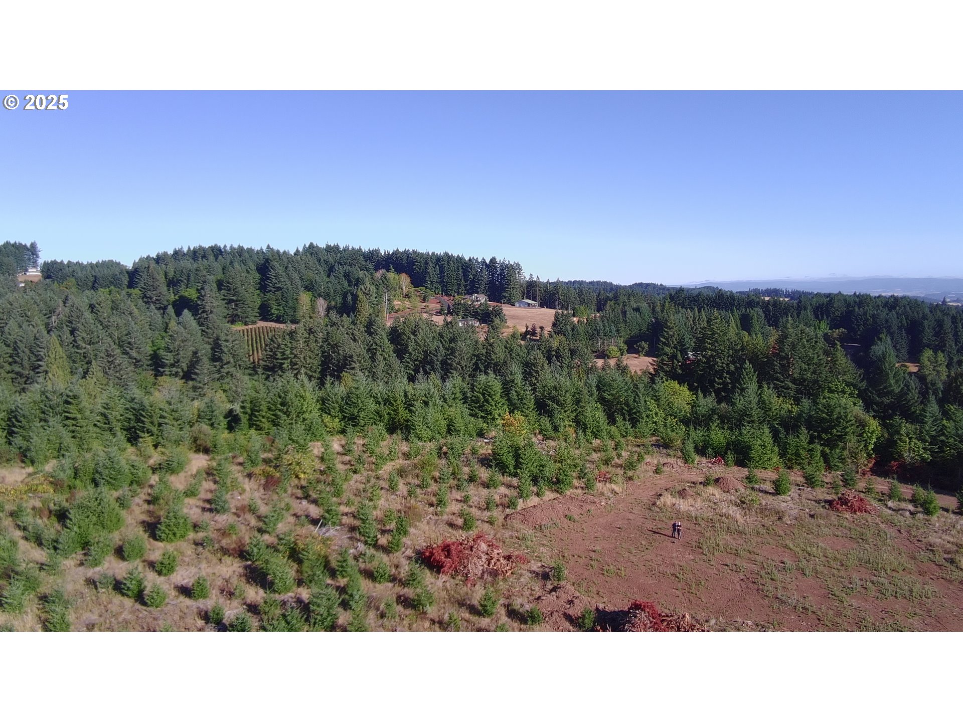 16935 Southwest Holly Hill Road Hillsboro, OR 97123 - Photo 3 of 14 a open area with mountains in the back