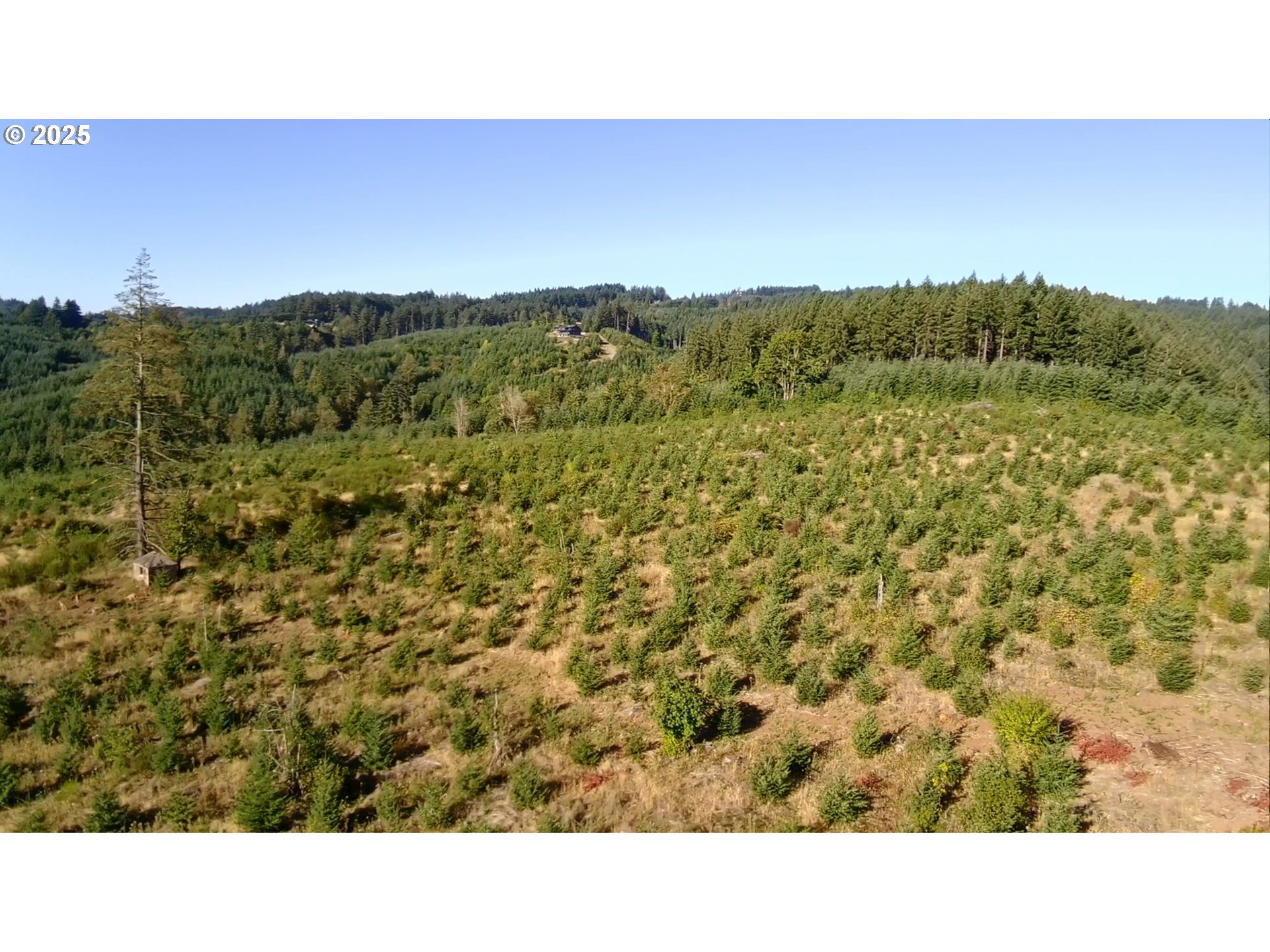 16935 Southwest Holly Hill Road Hillsboro, OR 97123 - Photo 5 of 14 a open area with trees in the background