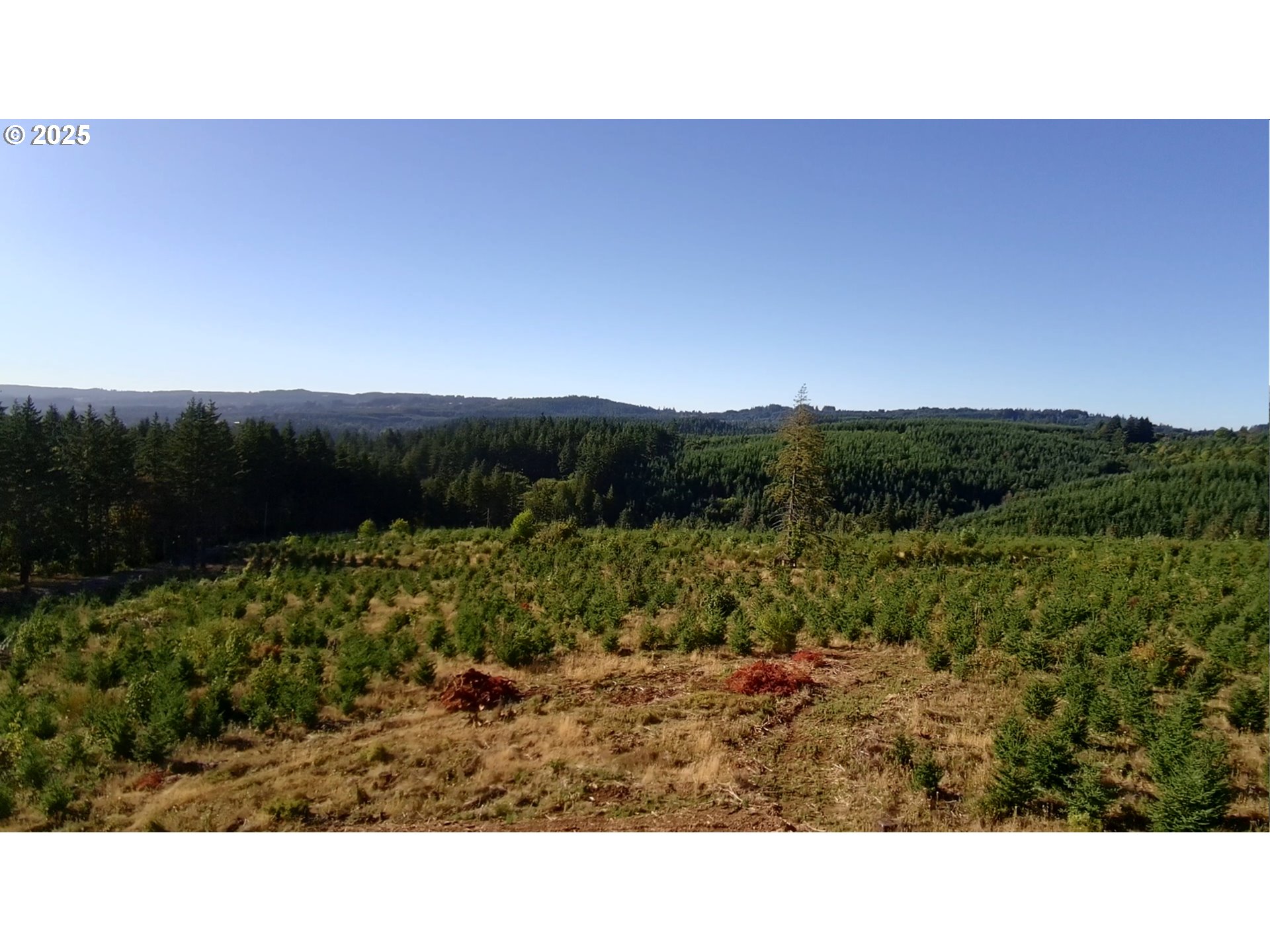 16935 Southwest Holly Hill Road Hillsboro, OR 97123 - Photo 7 of 14 a open area with a forest