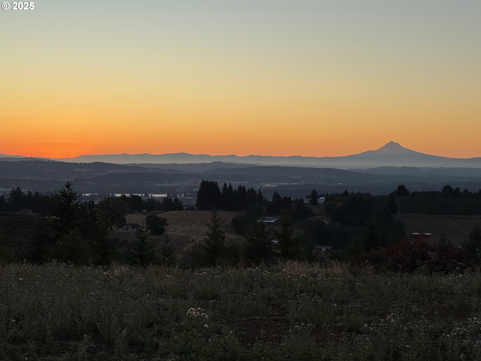 16935 Southwest Holly Hill Road Hillsboro, OR 97123 - Photo 9 of 14 a view of a back yard