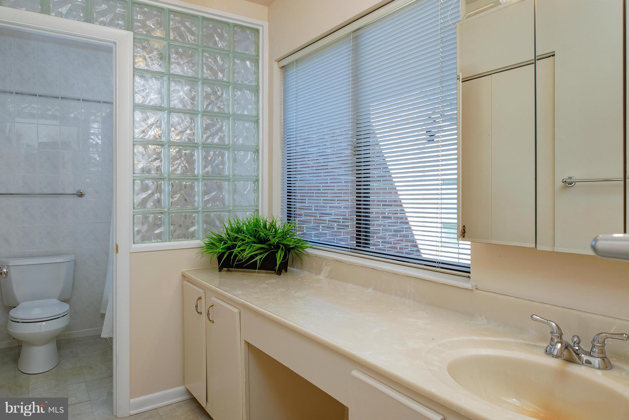 11714 Indian Ridge Road Reston, VA 20191 - Photo 15 of 26 Bath